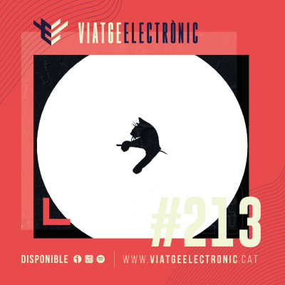 Viatge Electronic 13-03-2026