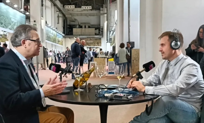 Vins & Grapes 06-02-2025