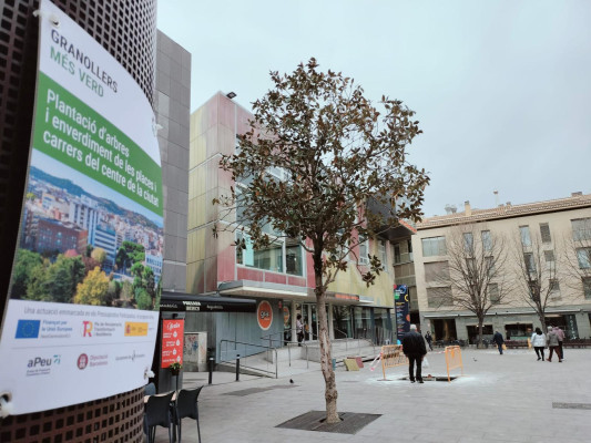 Les noticies 09:30 17-01-2024